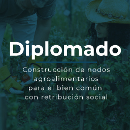 Course Image Diplomado Construcción de nodos agroalimentarios para el bien común con retribución social
